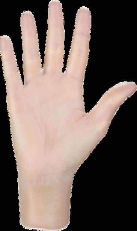 Vinylové rukavice "Vinylex powder free" | bez púdru | 100 KS